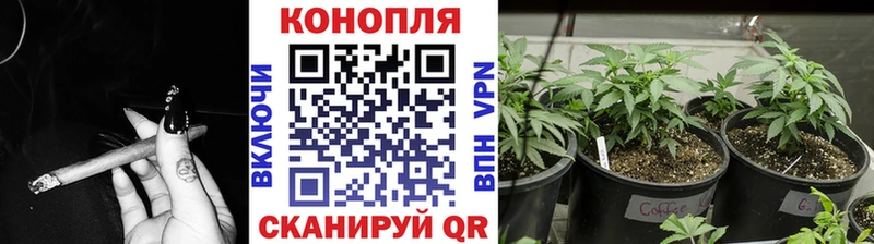 МАРИХУАНА Amnesia Волгоград
