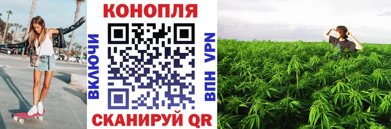 Каннабис Bruce Banner Волгоград